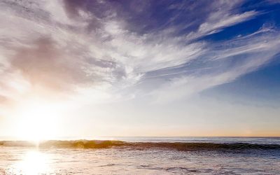 Advocate for Patient Access