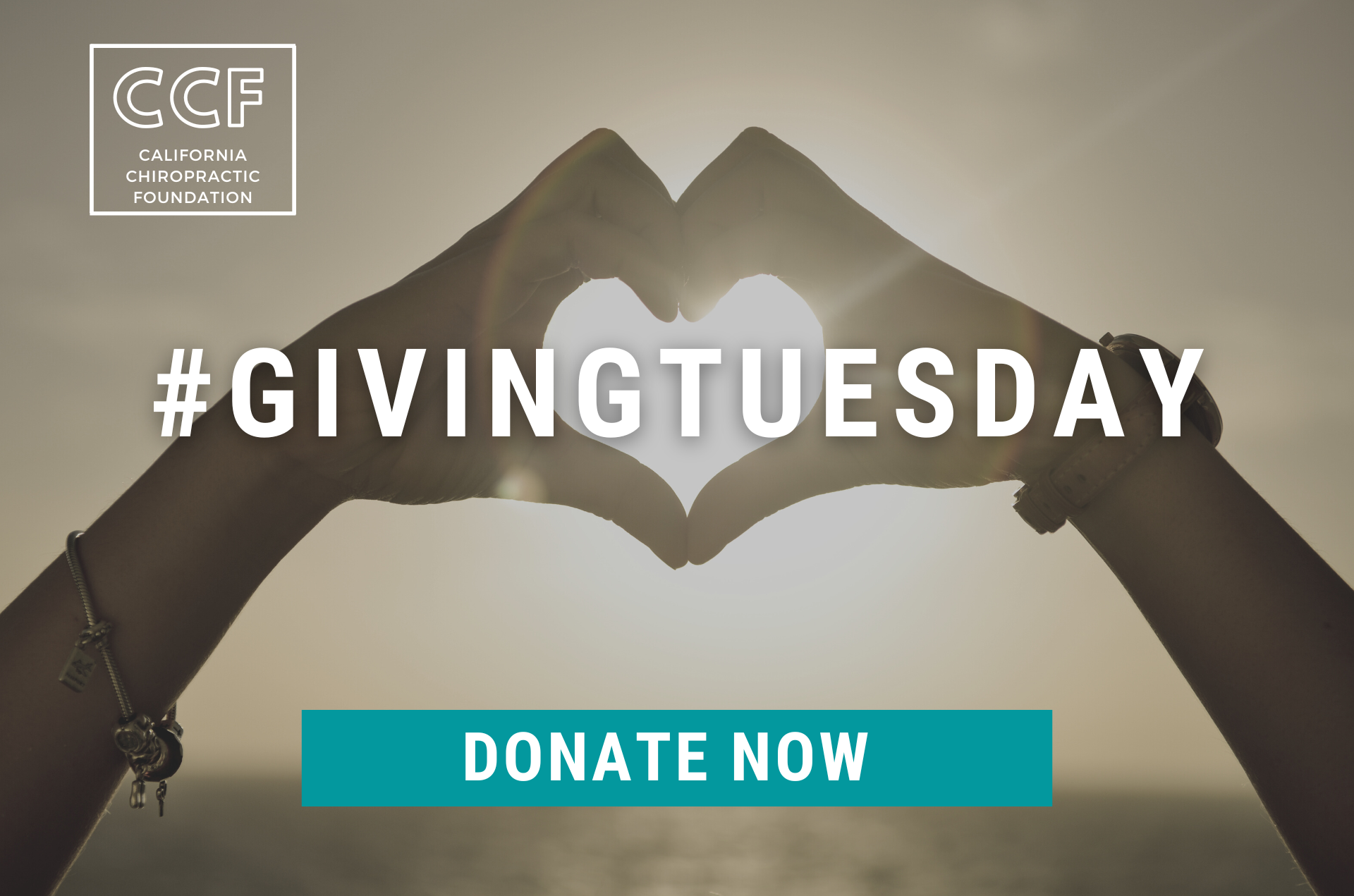 CCF Giving Tuesday with heart hands and donate now button