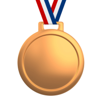 Bronze Medal*