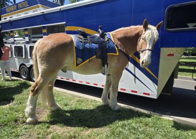 CalChiro Legislative Day 2026
